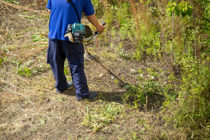 草刈りする男性
