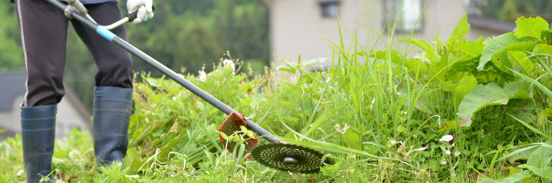 お庭の草刈り・伐採